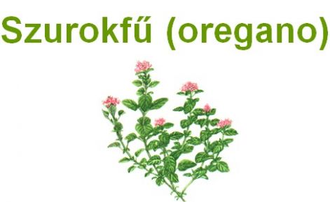 oreganolkep.jpg
